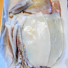 調理ハサミで超簡単なイカの捌き方 レシピ 作り方 By ともオカンyoutuber 楽天レシピ 調理ハサミで超簡単なイカの捌き方 レシピ 作り方 By ともオカンyoutuber 楽天レシピ